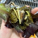 하동맛집 추천 ‘하동팔팔민물장어구이’ (하동현지인맛집 / 하동밥집 / 사천CC맛집 / 하동여행...