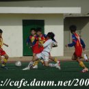 포곡초등학교 이미지