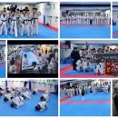 KA태권도체대입시 태권도장 이미지