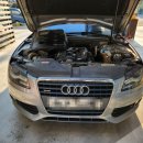 정미카센타 이미지