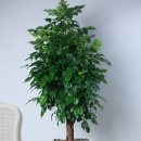 유디화정치과의원 이미지