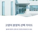 구두고양이 | 고양이 분양 후기: 직접 다녀온 곳 비교