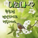 한올한올 이미지