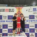 나영철복싱클럽 이미지