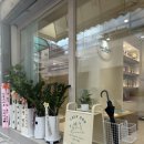 라우프독 이미지