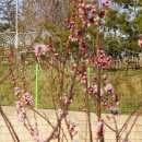 오륙도중학교 이미지