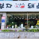 부자돼소 이미지