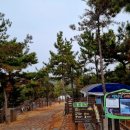 용궁자동차정비 이미지