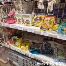 견생냥품 이미지