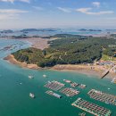 평생 사랑해 줄 개 애견펜션 이미지