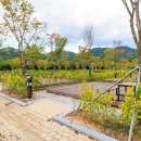 덕신야영장 이미지