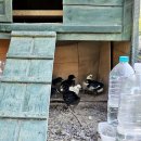 길정농장 이미지