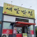 새말반점