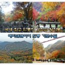 11/4[토]순창 강천산+산성산 단풍가로수 (명산100+)-산행안내/좌석표 이미지