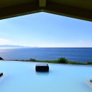 최성필 소금구이 앞 횡단보도 | 가고시마 3박 4일 여행 후기 Day 2 (feat. 고구마 소주, 화산, 온천)