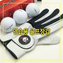디제이그립 | 연습용 골프장갑 추천 필드에서도 사용가능한 골프용품 엑스텐스 L그립 가죽장갑