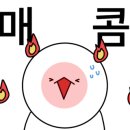 완미족발파주초롱꽃 이미지