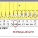 여왕 만들기 / 이충표 관리 이미지