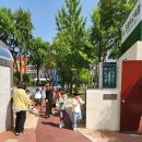 대전문성초등학교 이미지