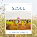 하늘달빛로2번길 남측 | 서울 억새축제 2025 하늘공원 주차 가는길 가을명소 가볼만한곳