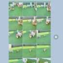 개러리아 송파점 이미지