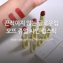 (주)럭셔리뷰티 진주대리점 | 글로우립추천 샬랑 드 파리 오뜨 쥬얼 샤인 립스틱 전색상 발색비교