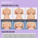 4월31일성형외과의원 네이버블로그