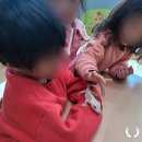 장승포초등학교병설유치원 네이버블로그