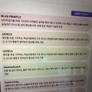 목동 영어회화 원어민에게 배울 수 있는 애나잉글리쉬