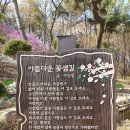 초안산 하늘꽃정원 이미지