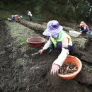 김진만농장 이미지