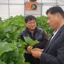 노곡리농장 이미지