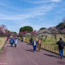 코젠시