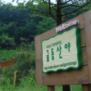 금동산야 이미지