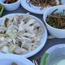 하하웜 | 광주근교 장성 대관 전용 애견운동장 하하웜