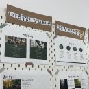 더나은 | [광주 첨단] 더나은 꽃집 | 꽃다발 픽업 후기