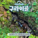 지천생태공원 | 한탄강 가볼만한곳 구라이골 출렁다리 포천 8경