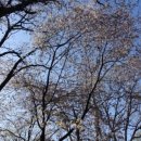 관음2리 이미지