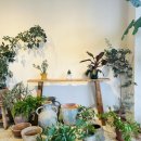 지월로55번길 이미지