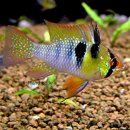 아름다운바다 이미지