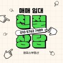 원피스부동산공인중개사사무소 이미지