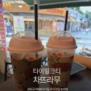 차타이 | 압구정로데오 차뜨라무 타이밀크티 후기 드레스 투어 후 들른 태국 감성 카페 타이커피 솔직후