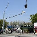 동산부화장 | 서울 어린이대공원 동물원 봄소풍 데이트코스 추천