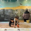 갯지렁이 전시관 | 충남 태안 아이와 가볼만한곳 태안해안체험학습관 놀거리 볼거리