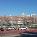 정자동 주민센터 이미지