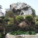 화석농장 이미지