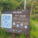 천사섬마트 티스토리
