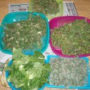 시골나들이 이미지