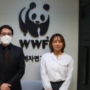 와이네트웍스 이미지