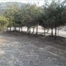 파주6리 경로당 이미지